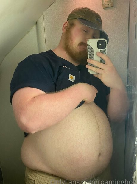 roaminghog nice star photos