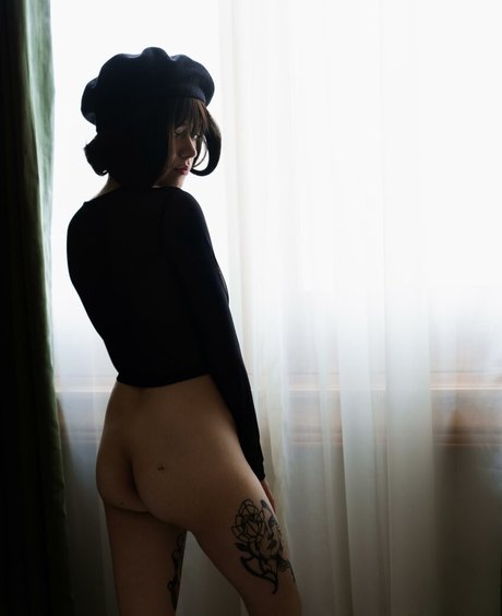 Ann Cid Photo Gallery