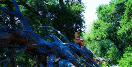 Kate Baum star pornographic images