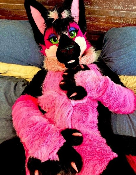 anejo xxx kaii exclusive pornstar images