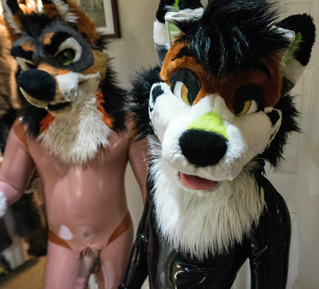 anejo xxx kaii nice star galleries