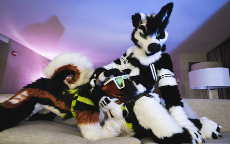 anejo xxx kaii adult star images