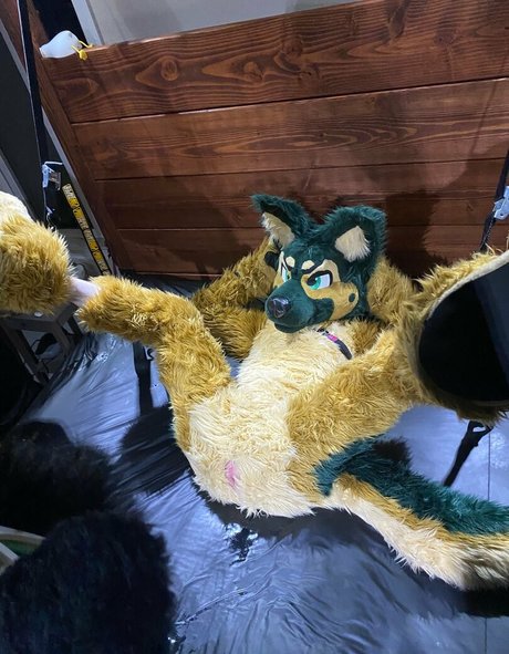 anejo xxx kaii free actress galleries