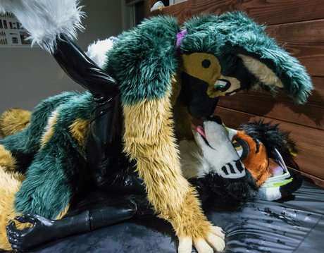 anejo xxx kaii star pictures