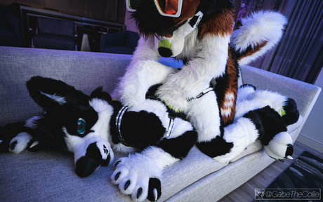 anejo xxx kaii pornstar xxx photos