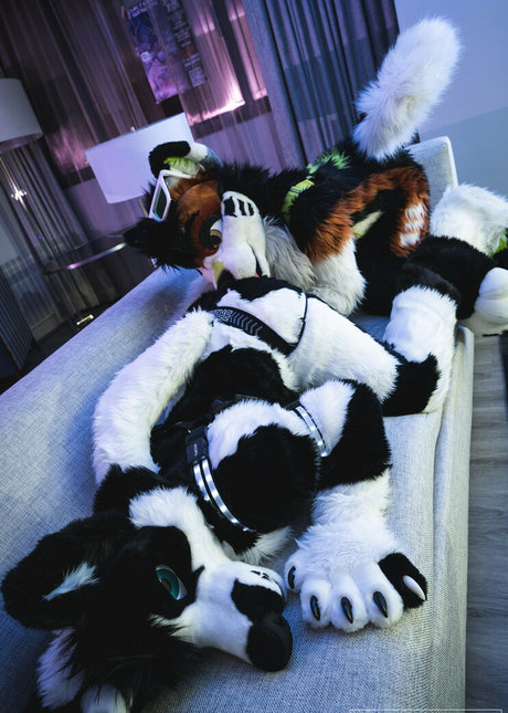 anejo xxx kaii nice star pictures