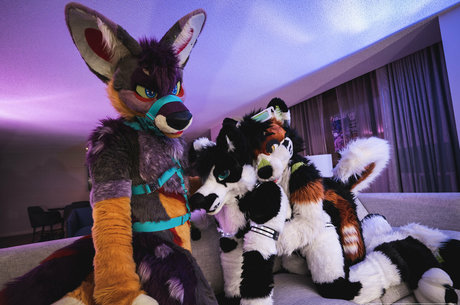 anejo xxx kaii pretty actress galleries