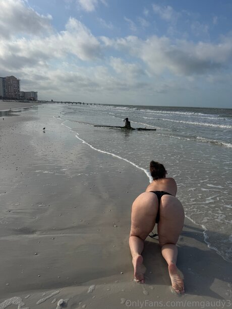 emgaudy3 star art img