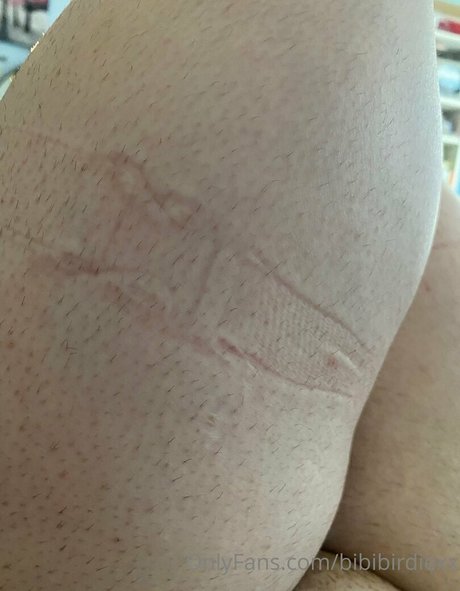 bibibirdiexx star top image