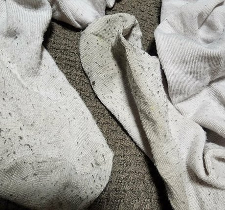 feetbeth hot actress img