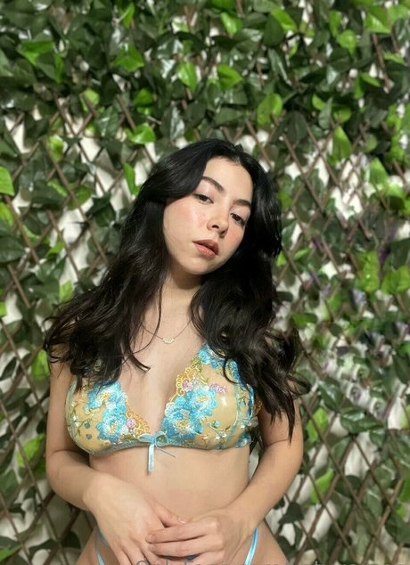 bbw ass onlyfans adult images