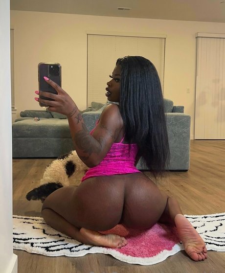 Mayhashira star beautiful gallery