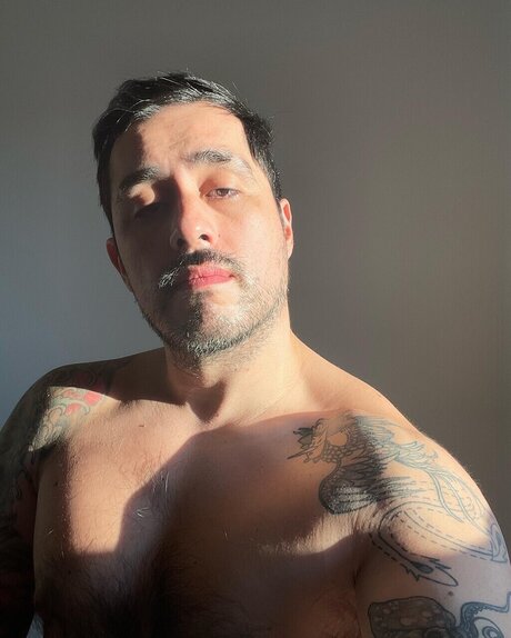 Taco EverX star high quality image