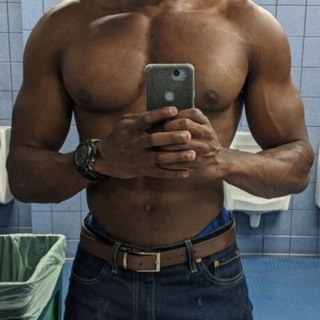 Rowland model perfect image