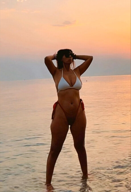 Aliboni nice star archive