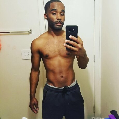 Phelona brown model art image