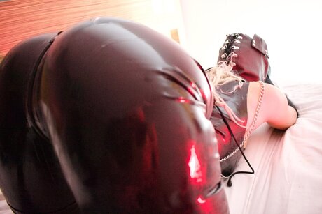 Opulent Restraint sexy pornstar img