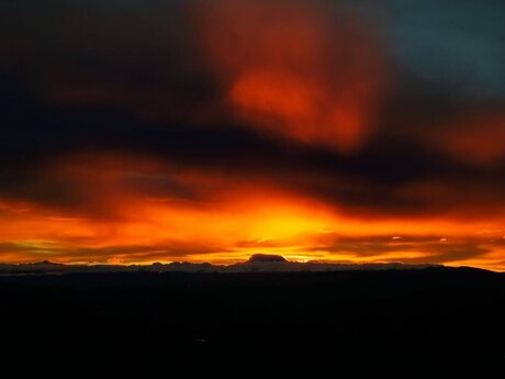 Anderson Javier beautiful actress photos