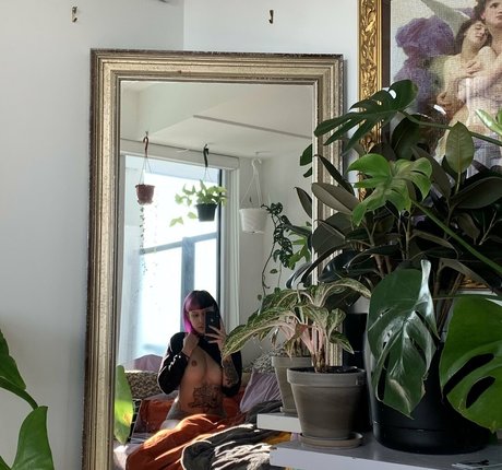 Sheiscursed Profile Photo