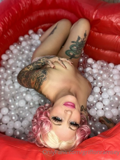 Griffon Ramsey star perfect image