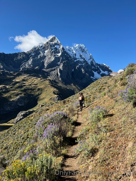 Touched By Nature best pornstar pic