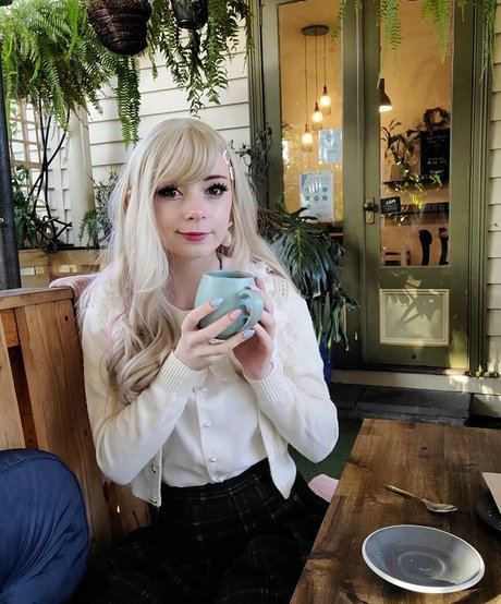 Elefire Grey model perfect img