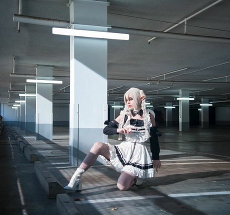 Elefire Grey model free images