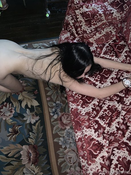 sealidgarden pornographic star images