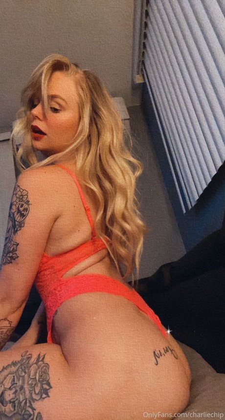 Charlie Chip star art pic