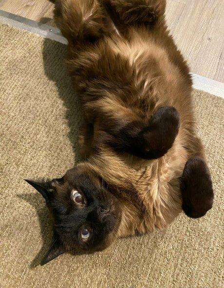 2024 top onlyfans free sexy img