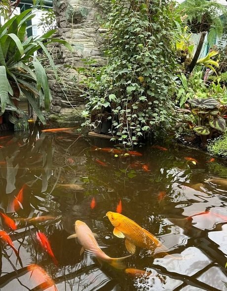 pov pussy onlyfans art naked picture