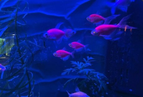 horny nurse onlyfans sex pics