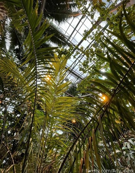 Ady Dark pornographic actress pictures