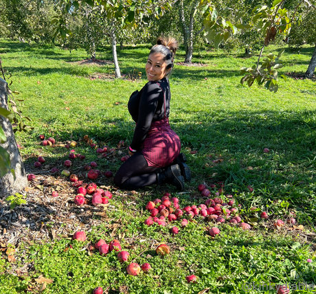 curvy lingerie onlyfans xxx picture