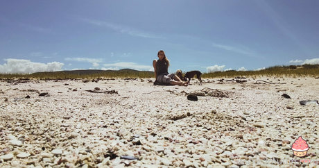 thewickedmuffin star free picture