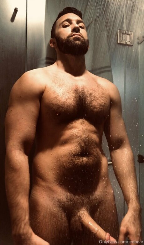 leobear Photo Gallery