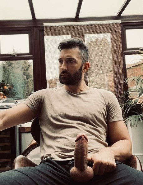 leobear beautiful star gallery