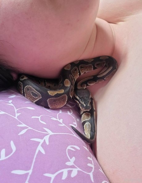 violet bb pornstar best picture