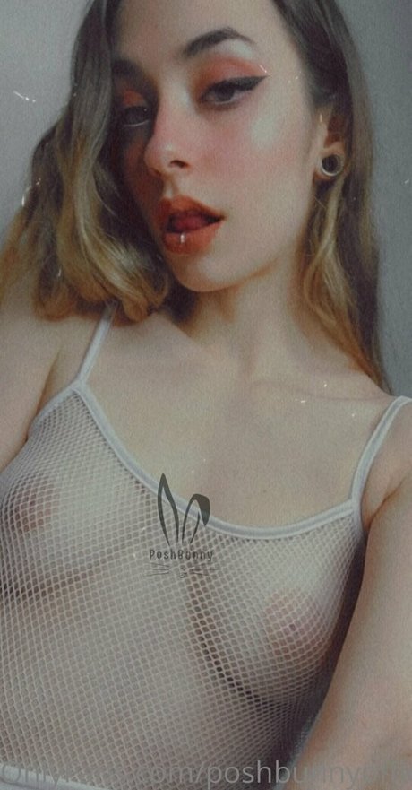 poshbunnyofficial free adult star archive