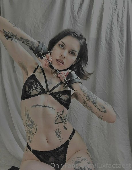 luxfactaest pornstar adult gallery