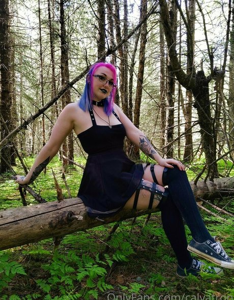 calvatron star xxx gallery