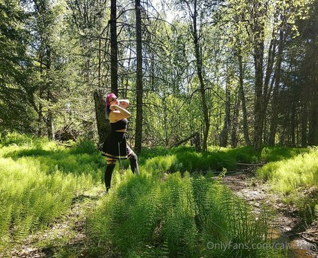 calvatron star top image