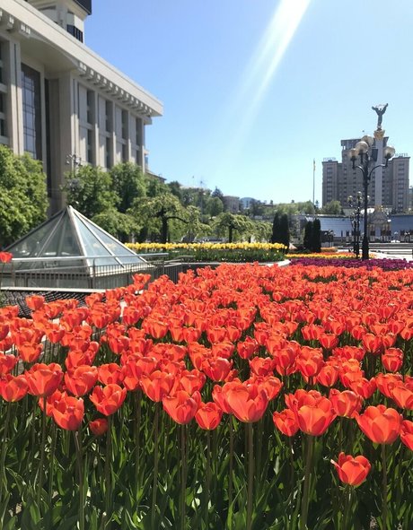 lili babe pornstar sex picture