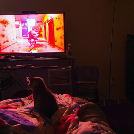 u6926969 star art img