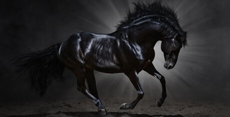 Beau Bliss star nude pics