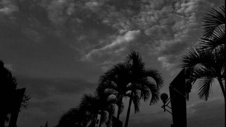 DOROTHEO xxx actress pictures