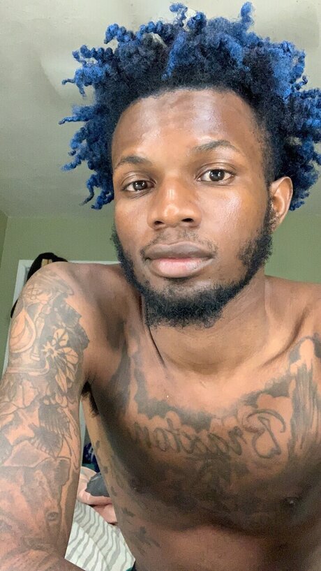 Bart star high quality photo