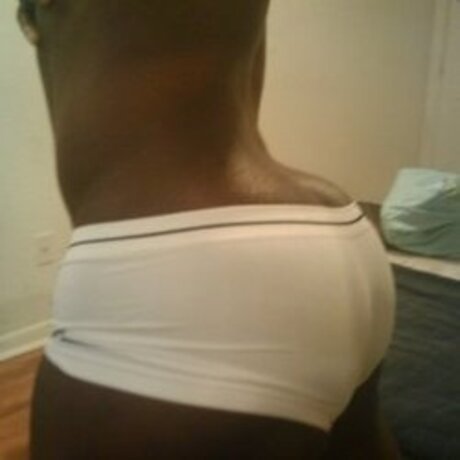 datasstho954 best model img