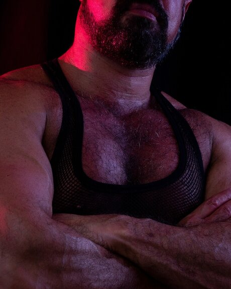 bearlover free star pictures