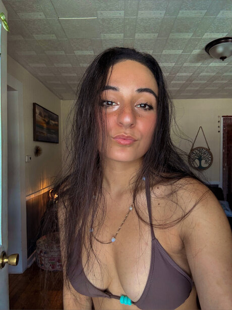 Stell pornstar art galleries